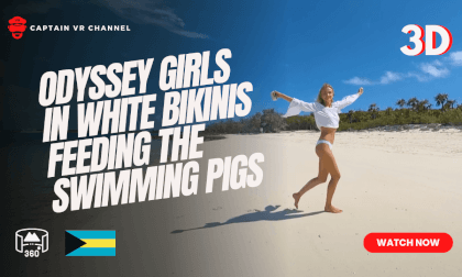 Odyssey girls in white bikinis feeding the swimming pigs of Exuma part 5 VR Video Odyssey girls in white bikinis feeding the swimming pigs of Exuma part 5 VR