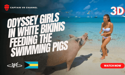 Odyssey girls in white bikinis feeding the swimming pigs of Exuma part 2 VR Video Odyssey girls in white bikinis feeding the swimming pigs of Exuma part 2 VR