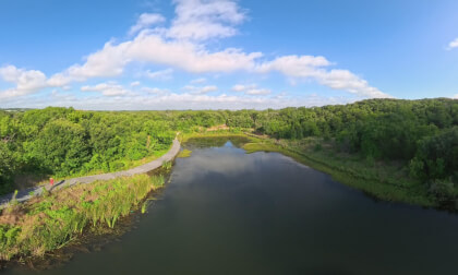 Sheri Capehart Natural Preserve - Pond 360 video