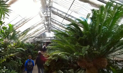Smithsonian - Botanical Garden  VR 360