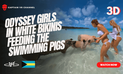 Odyssey girls in white bikinis feeding the swimming pigs of Exuma part 3