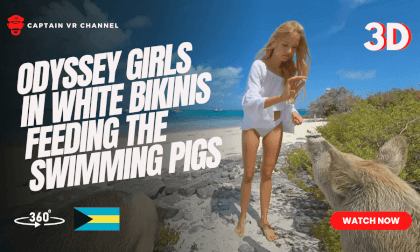 Odyssey girls in white bikinis feeding the swimming pigs of Exuma part 1 VR Video Odyssey girls in white bikinis feeding the swimming pigs of Exuma part 1 VR