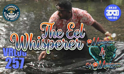 The Eel Whisperer (Memories of Moorea 4) VRLOG 257