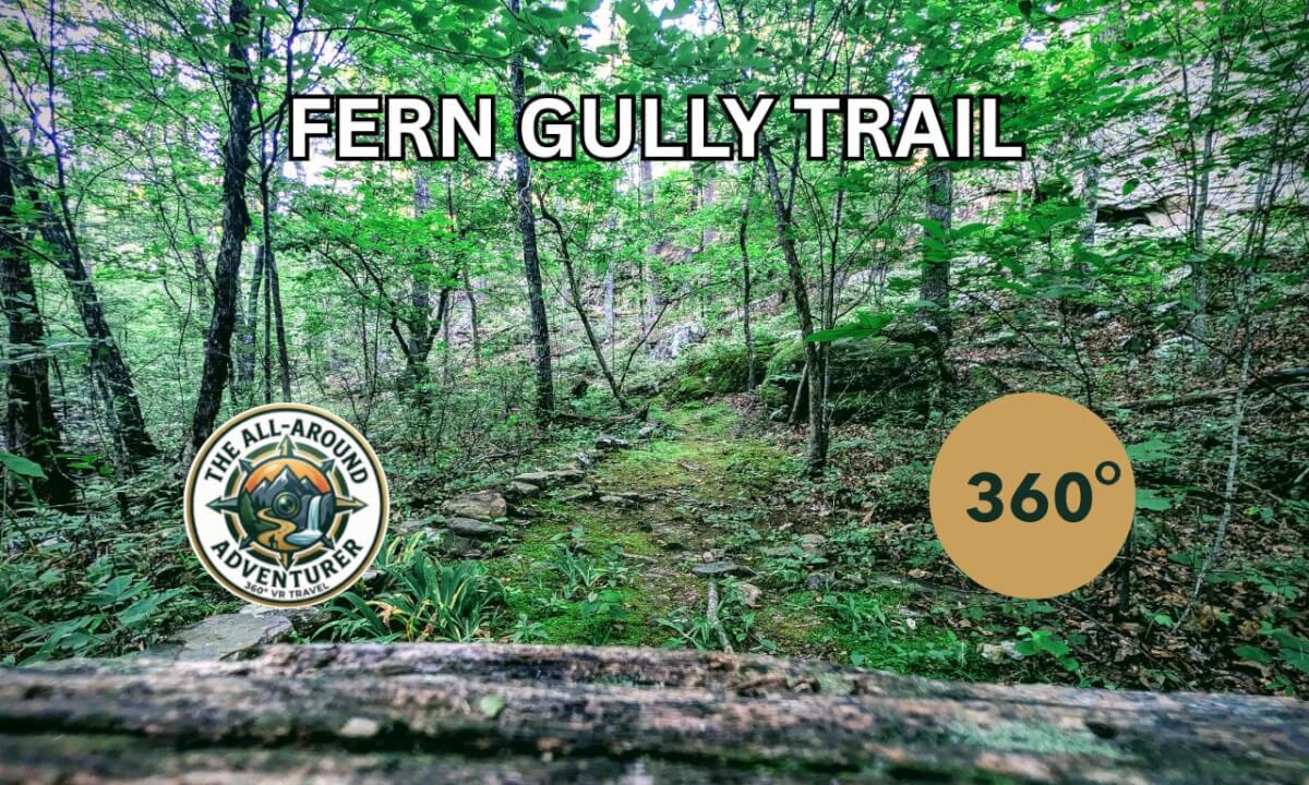Step Into the Wild: A 360° Bushwhack Through Arkansas’s Hidden Fern Gully