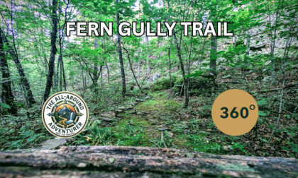 Step Into the Wild: A 360° Bushwhack Through Arkansas’s Hidden Fern Gully