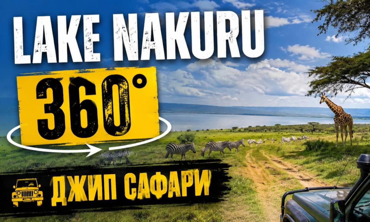 360° Safari Around Lake Nakuru, Kenya | Lions, Rhinos & Wildlife Adventure