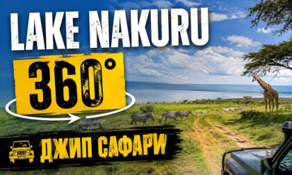 360° Safari Around Lake Nakuru, Kenya | Lions, Rhinos & Wildlife Adventure