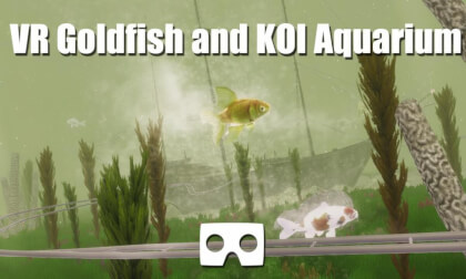 360° video: VR Goldfish and KOI Aquarium