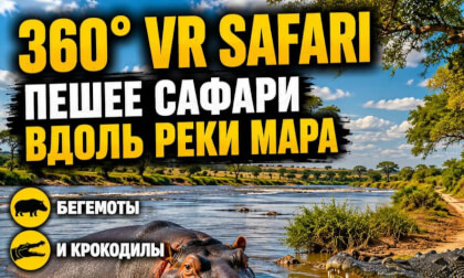 360° Walking Safari Along the Mara River | Maasai Mara, Kenya