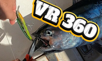 Fishing Tuna Bacoreta
