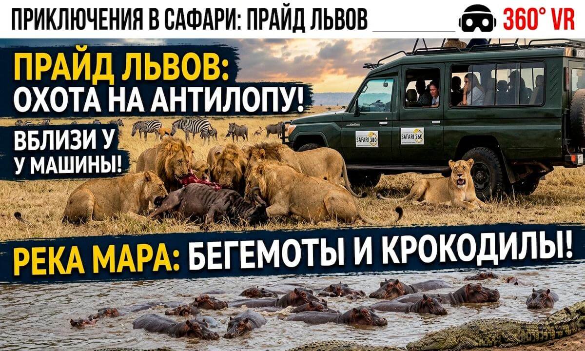 Masai Mara Safari in 360° | Lions, Hippos, Crocodiles & African Wildlife | Kenya