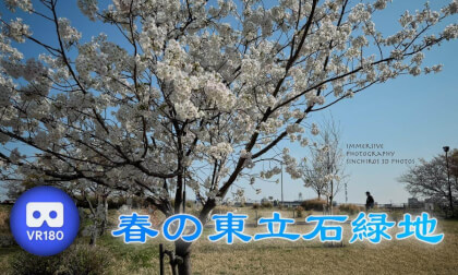 Higashi-Tateishi Green Space in Spring