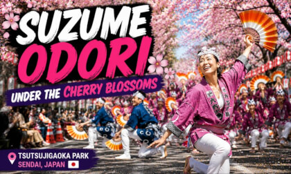 Suzume Odori Under the Cherry Blossoms | Tsutsujigaoka Sakura Festival VR180 Japan