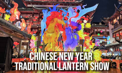 Traditional Chinese Spring Lantern Show（Premium Refined Edit）