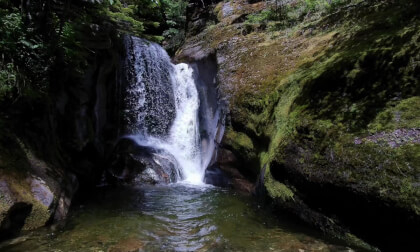Waterfall cascading into a clear pool, framed by a moss covered Grotto (3d, Flat)