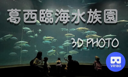 Tokyo Sea Life Park VR Video Tokyo Sea Life Park VR