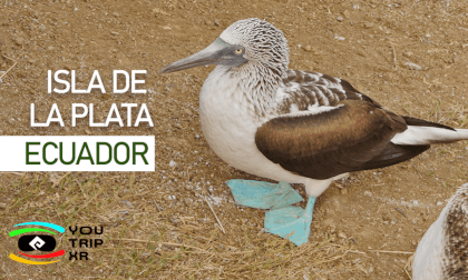 KONTIKI EXPERIENCE - ISLA DE LA PLATA ECUADOR VR Video KONTIKI EXPERIENCE - ISLA DE LA PLATA ECUADOR VR