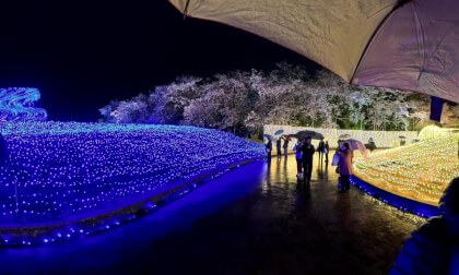 VR 360° 8K Nabano Na Sato night Illumination, Japan Unedited