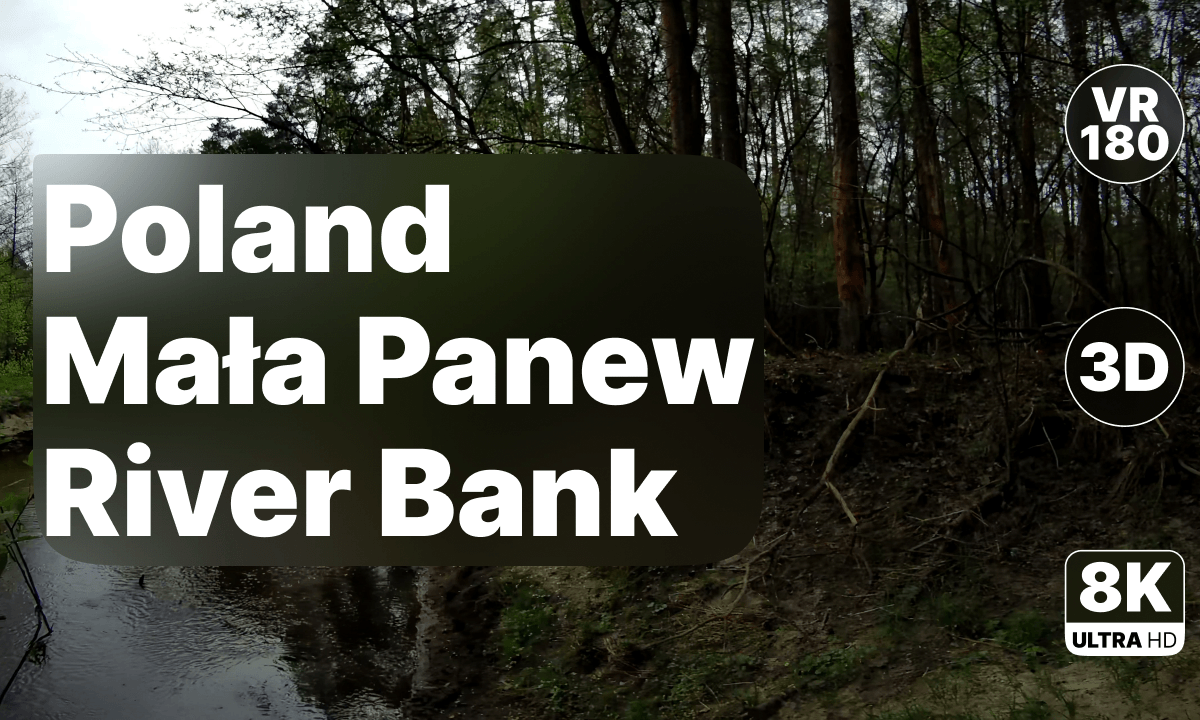 Poland Mała Panew - Riverbank Walk 8K 180 3D
