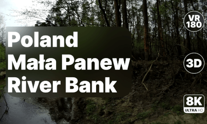 Poland Mała Panew - Riverbank Walk 8K 180 3D