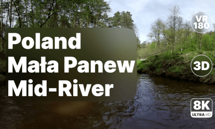 Poland Mała Panew - Wading Through the River 8K 180 3D