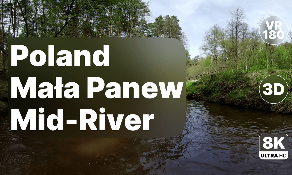Poland Mała Panew - Wading Through the River 8K 180 3D