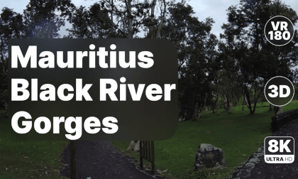 Mauritius Black River Gorges National Park - Rainforest Walk 8K 180 3D