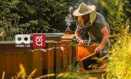 Among the Bees. The Riverside Apiary.