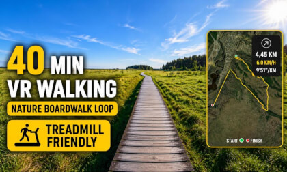 40 MIN VR WALKING | Open Marshland Trail | Fast 6.1 km/h | Treadmill-Friendly