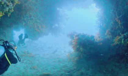 Scuba Diving Fiji with Blue Lagoon Cruises