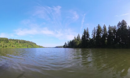 Me and Stitch paddle across Lacamas Lake