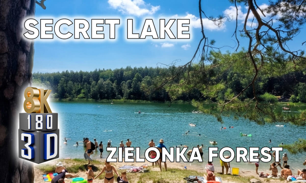 Poland's Hidden Forest Lake in VR 180 3D (8K) 🌲 Relaxing Summer Escape