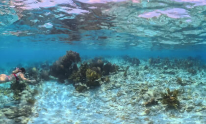 VR Experience Prana Maya Island Resort