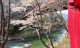 VR 360° 8K View from Sagano Romantic train Kyoto