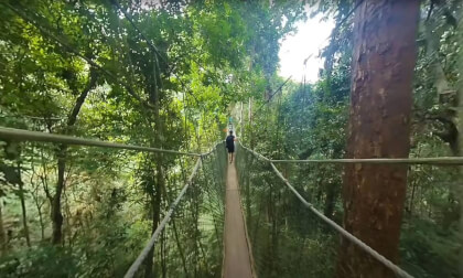 180 VR - Malaysia 2023 - Taman Negara rainforest- part 1/4