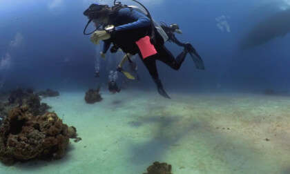 ExplorerVentures Scuba Turks and Caicos