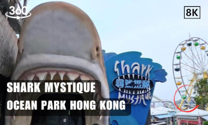 🦈Shark Mystique - Ocean Park Hong Kong 2026 | 8K 360VR