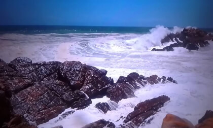 Anthony's Video VERITY...