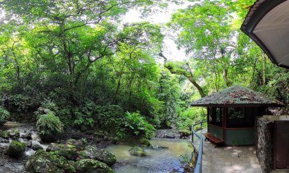 360 VR Fijian Rainforest Massage View- Koro Sun Resort