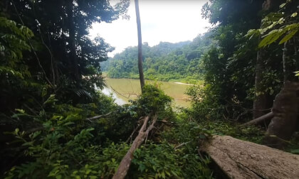 180 VR - Malaysia 2023 - Taman Negara rainforest- part 2/4