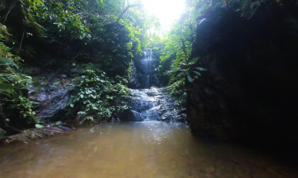 180 VR - Malaysia 2023 - Taman Negara rainforest- part 3/4