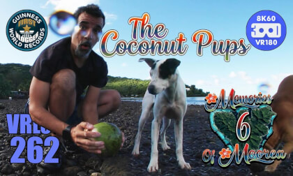 The Coconut Pups (Memories of Moorea 6) VRLOG 262