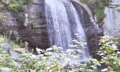 The Art of Stillness – Relaxing Scenery with Soothing Sounds 🎶🌿