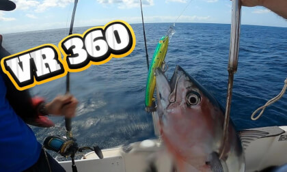 360° Trolling for Atlantic Bonito | Epic 5kg Catch in VR