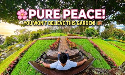 🌸 Relax at Victoria Park, Nuwara Eliya 🇱🇰 | 🌿 Peaceful Garden Ambience | 8K 360° VR Meditation