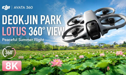 A Park Filled with Korea's Beautiful Lotus Flowers | Deokjin Park Avatar 360 8K Aerial Video