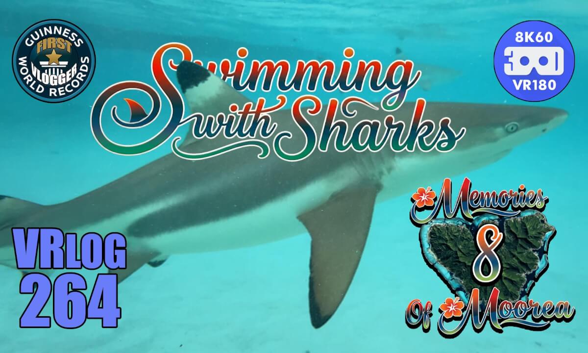 Swimming with Sharks (Memories of Moorea 8) VRLOG 264