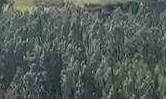 WhatsApp Video 2026-07-07 at 10.27.46 PM