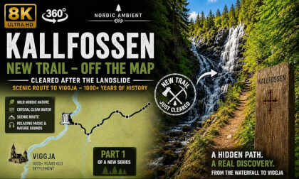 Kallfossen Part 1 | New Hidden Trail to Norway's Secret Waterfall | 8K 360° VR Nordic Ambient