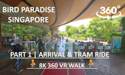 Bird Paradise Singapore (Part 1) | Arrival & Tram Ride | 8K 360 VR Walk